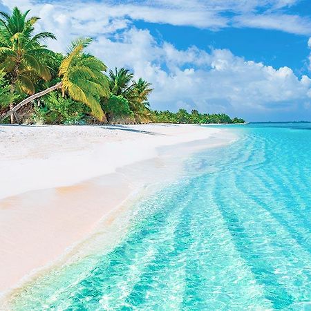 Senator Riviera Cancun Spa Resort بويرتو موريلوس المظهر الخارجي الصورة