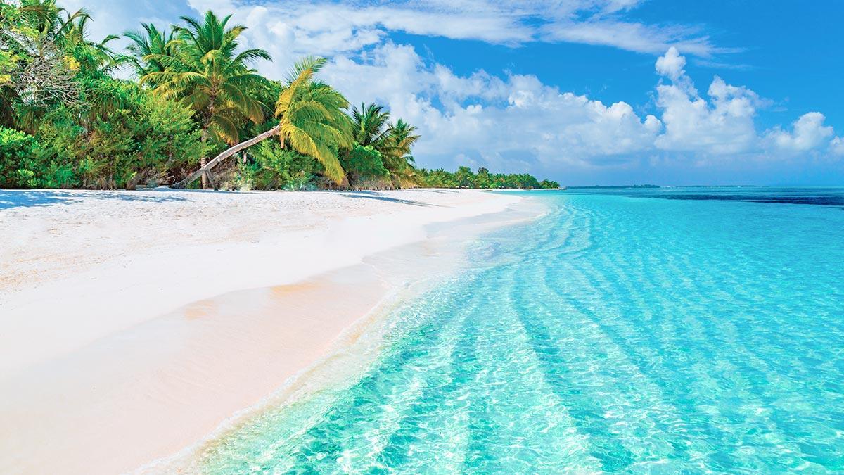 Senator Riviera Cancun Spa Resort بويرتو موريلوس المظهر الخارجي الصورة